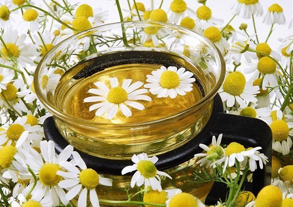 Chamomile tea is one of the most popular herbal teas
