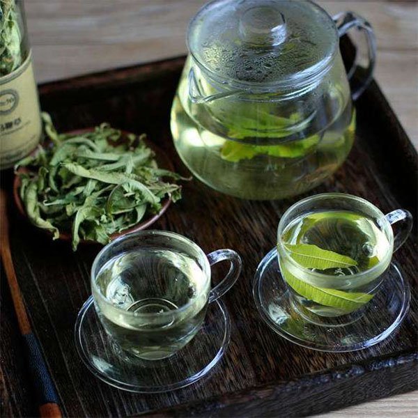 Lemon verbena tea is good for loss weight