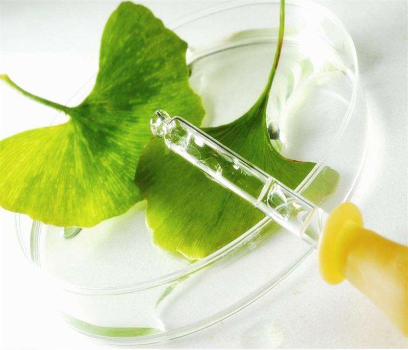 Scientists want to find more active beneficial ingredients from ginkgo biloba extract