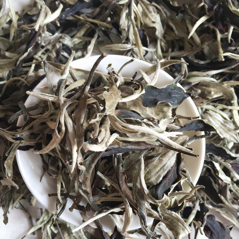 Moonlight white tea has a bent, big, and two color body