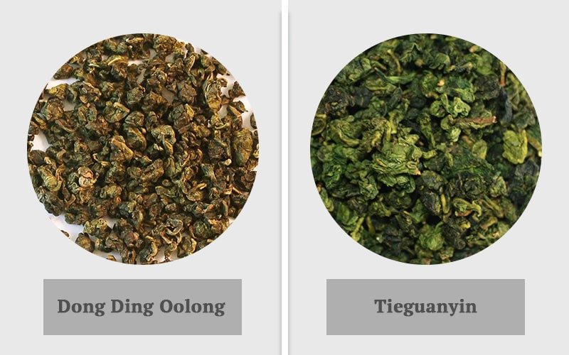 Dong Ding oolong tea VS Tieguanyin tea