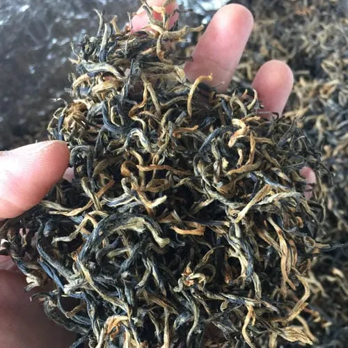 Yingde black tea dry leaves seem not fermenting too deep
