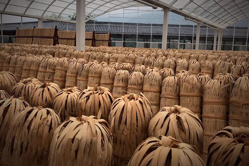 Qian Liang Anhua dark teas are placing in a warehouse for fermenting