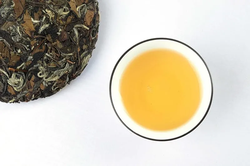 Fresh Shoumei white tea infusion shows an apricot color