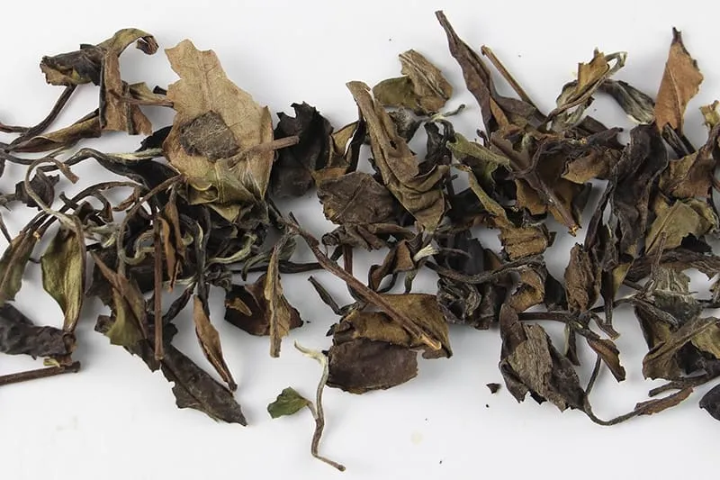 Shoumei tea leaves look like fallen leaves and are mistaken for low-grade