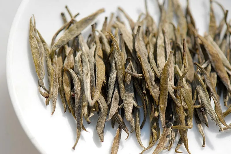 Junshan Yinzhen tea is made from the tender buds with white fuzz on
