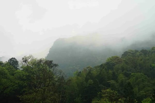 Meng Ding mountain is shrouded in fog all day long