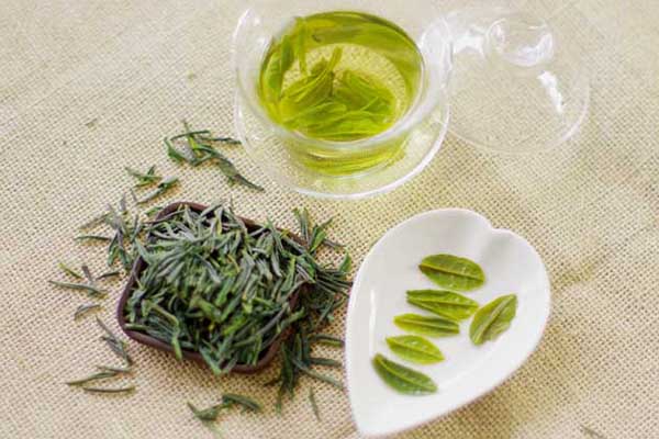 Why Does Lu’an Gua Pian Tea look Like Melon Seeds?