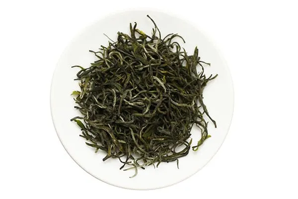 Xinyang Maojian leaves from different tea tree varieties look different