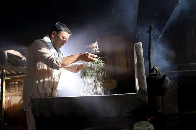 Tea master frying the leaves with hands