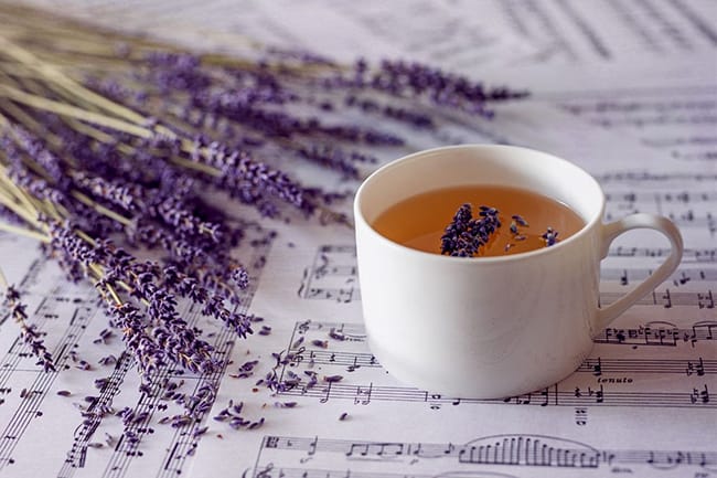 7 benefits of Lavender Tea – Not Just For A Good Dream