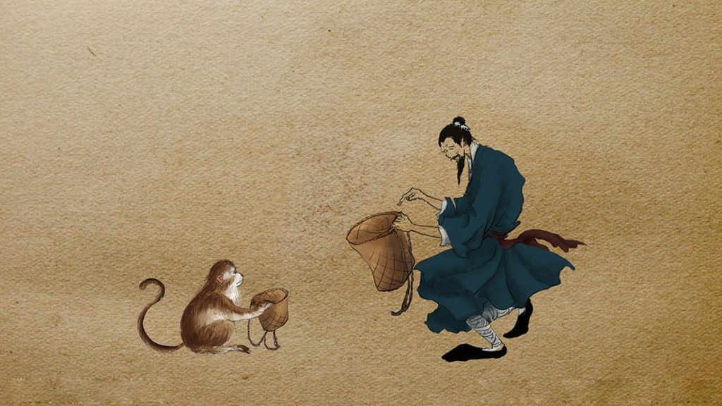 According to the legend, a tea master trained a monkey for tea-picking in ancient China